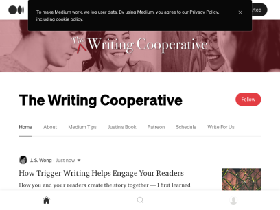 writingcooperative.com.png