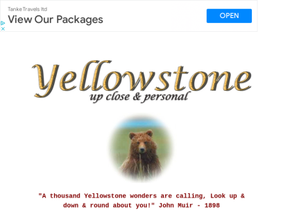 yellowstone.co.png