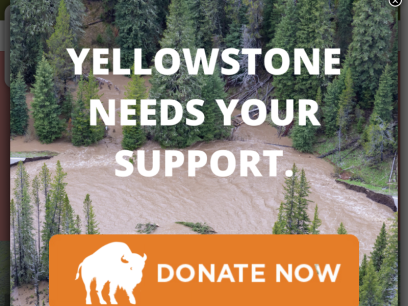 yellowstone.org.png
