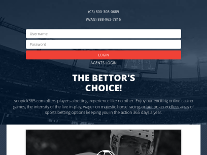 youpick365.com.png