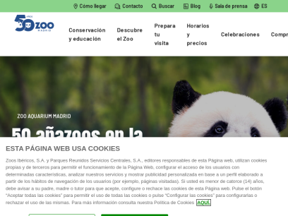 zoomadrid.com.png