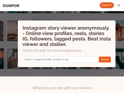 Instagram story viewer anonymously - Online view profiles, reels, stories IG, followers, tagged posts. Best insta viewer and stalker.