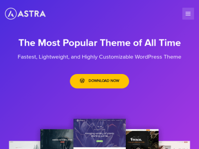 Astra – Fast, Lightweight &amp; Customizable Free WordPress Theme - Download Now!