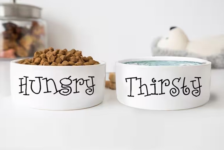 Dog Food and Water Ceramic Bowl, Cat Lover Gift Bowl, Gift For Pets, Set of Bowls For Dog, Food and Water Pair Bowls For Dog, Plain Pet Bowl