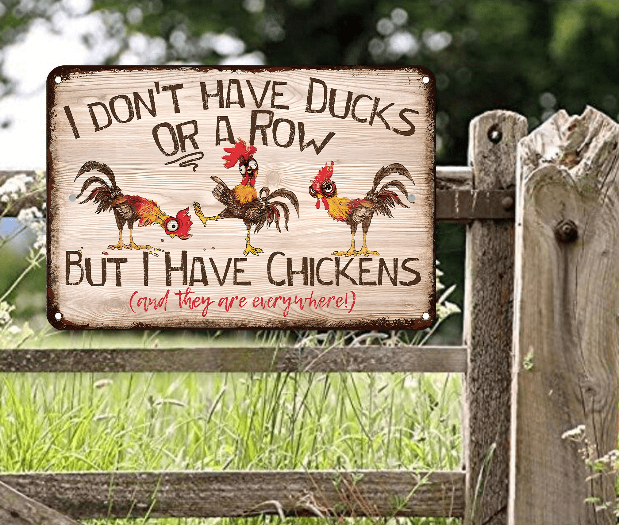 Chicken I Don’t Have Ducks Or A row Chicken Classic Metal Signs