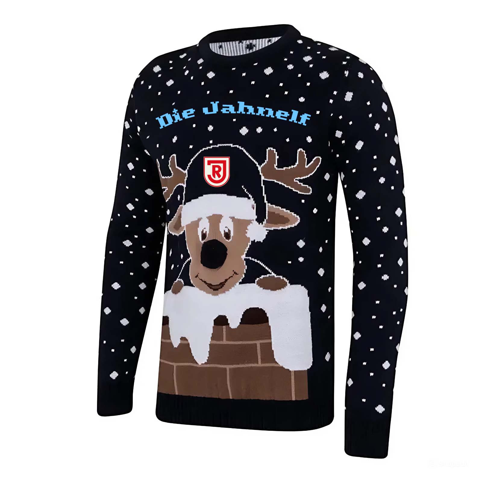 SSV Jahn Regensburg Sweater PT58790