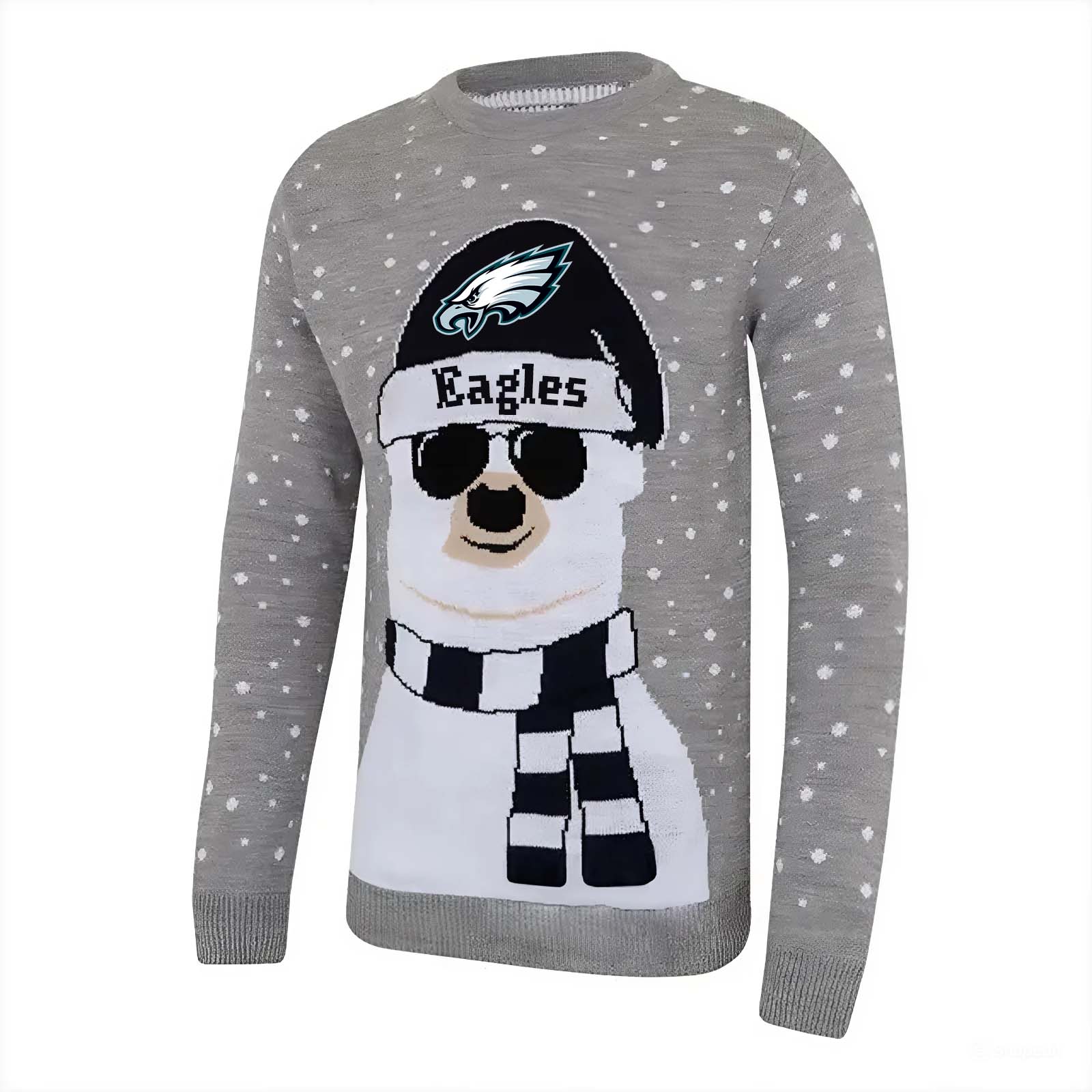 Philadelphia Eagles White Bear Sweaters PT59031