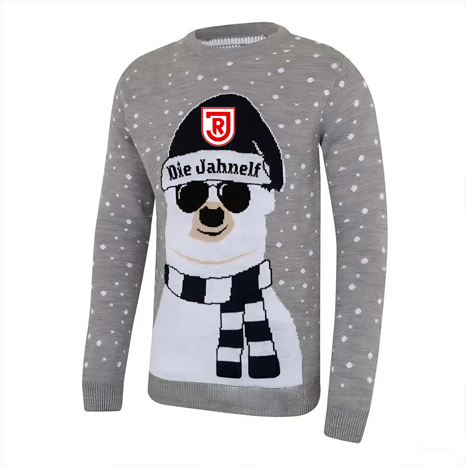 SSV Jahn Regensburg White Bear Sweaters PT59056