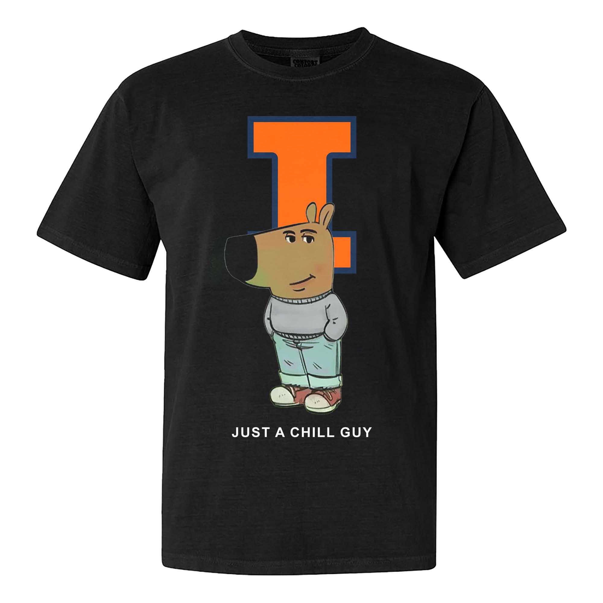 Illinois Fighting Chill Guy NFL T-shirt PT61329