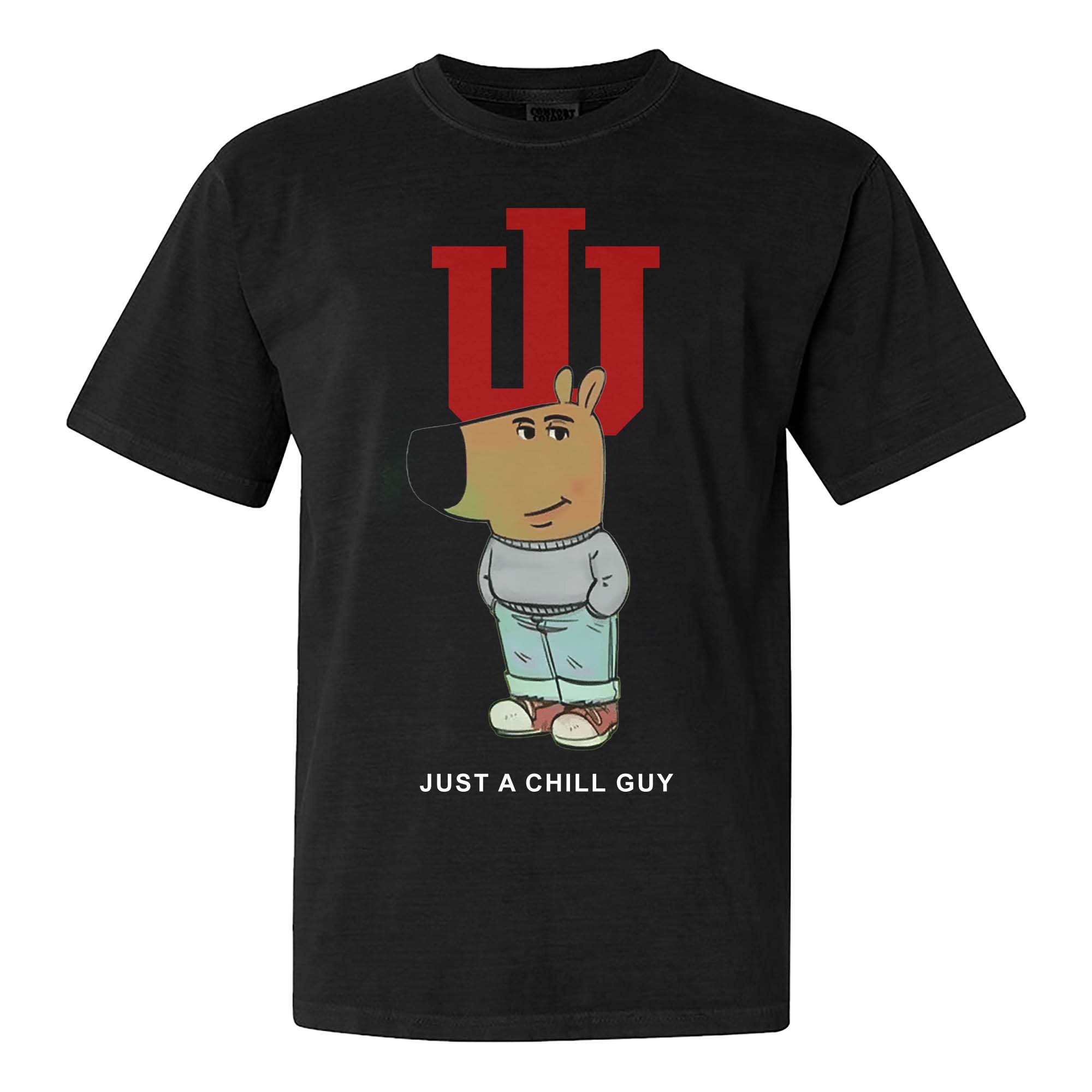 Indiana Hoosiers Chill Guy NFL T-shirt PT61330