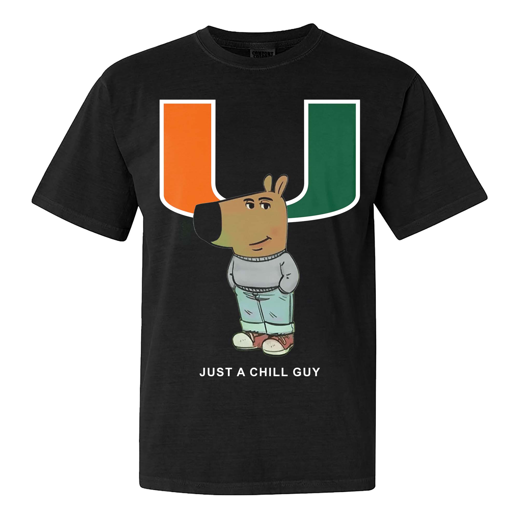 Miami Hurricanes Chill Guy NFL T-shirt PT61334