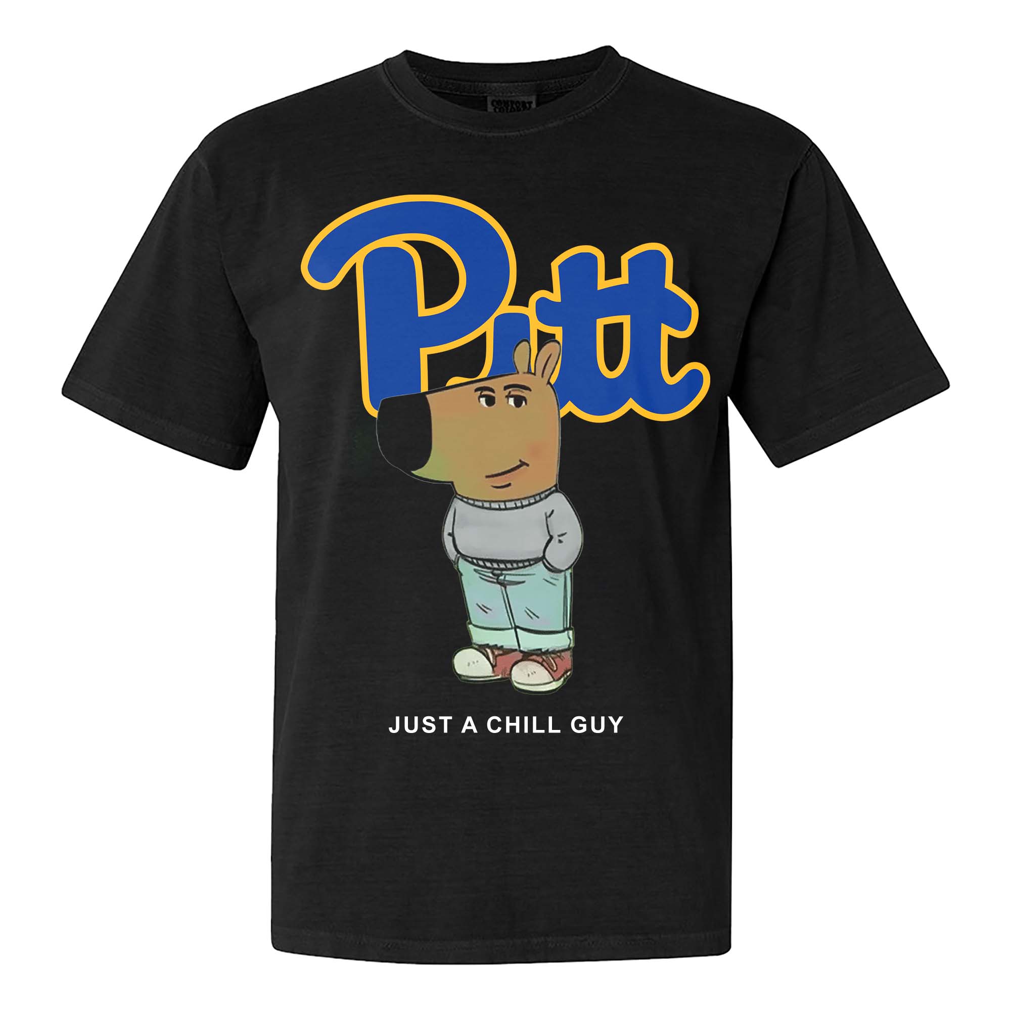 Pittsburgh Panthers Chill Guy NFL T-shirt PT61342