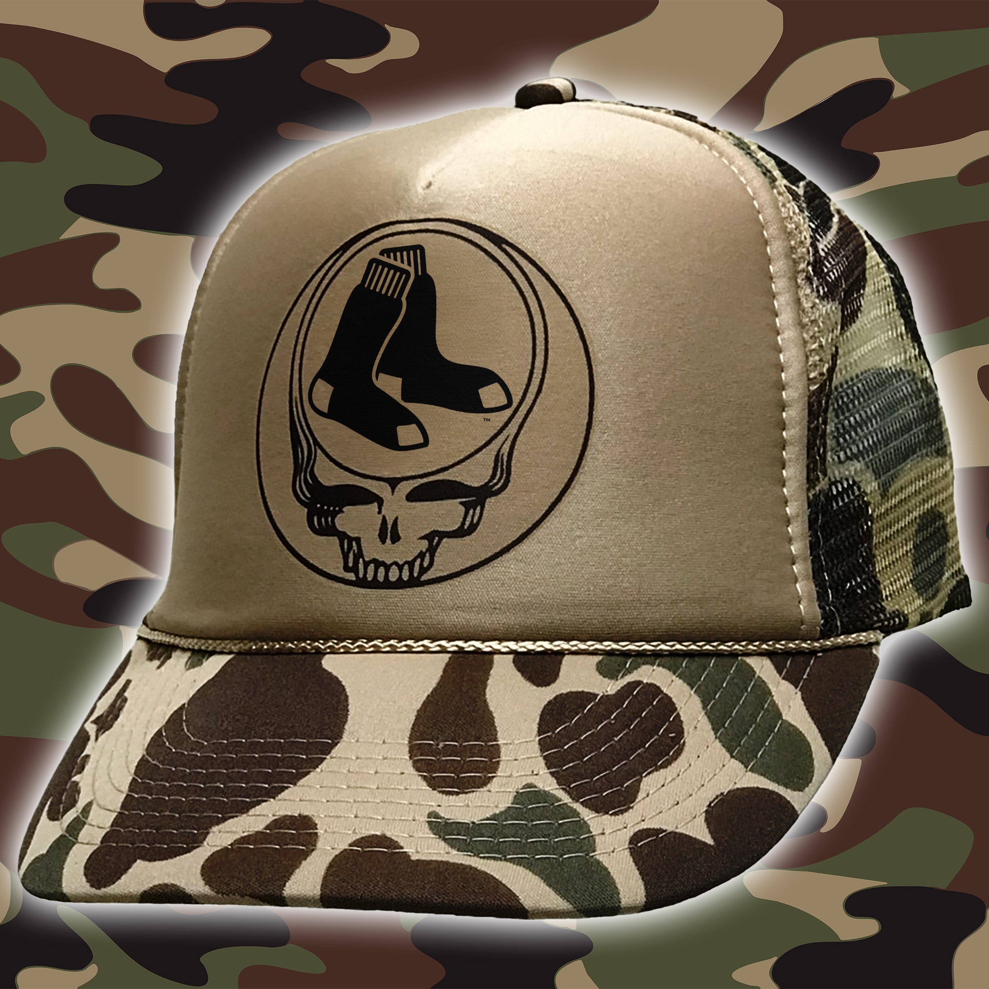 Boston Red Sox Embroidered and Printed Cap PT65629