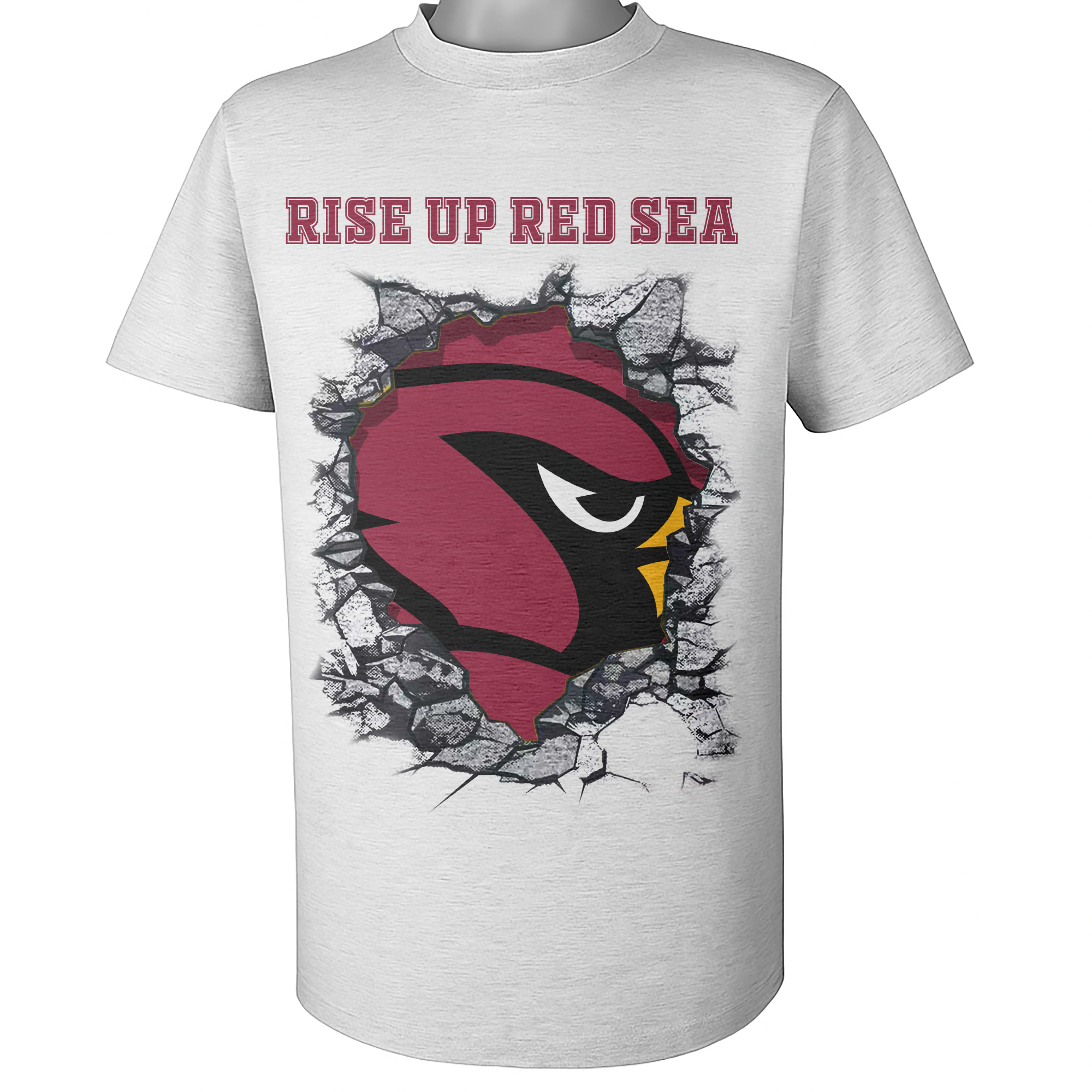 Arizona Cardinals NFL Teams Slogan PT65665