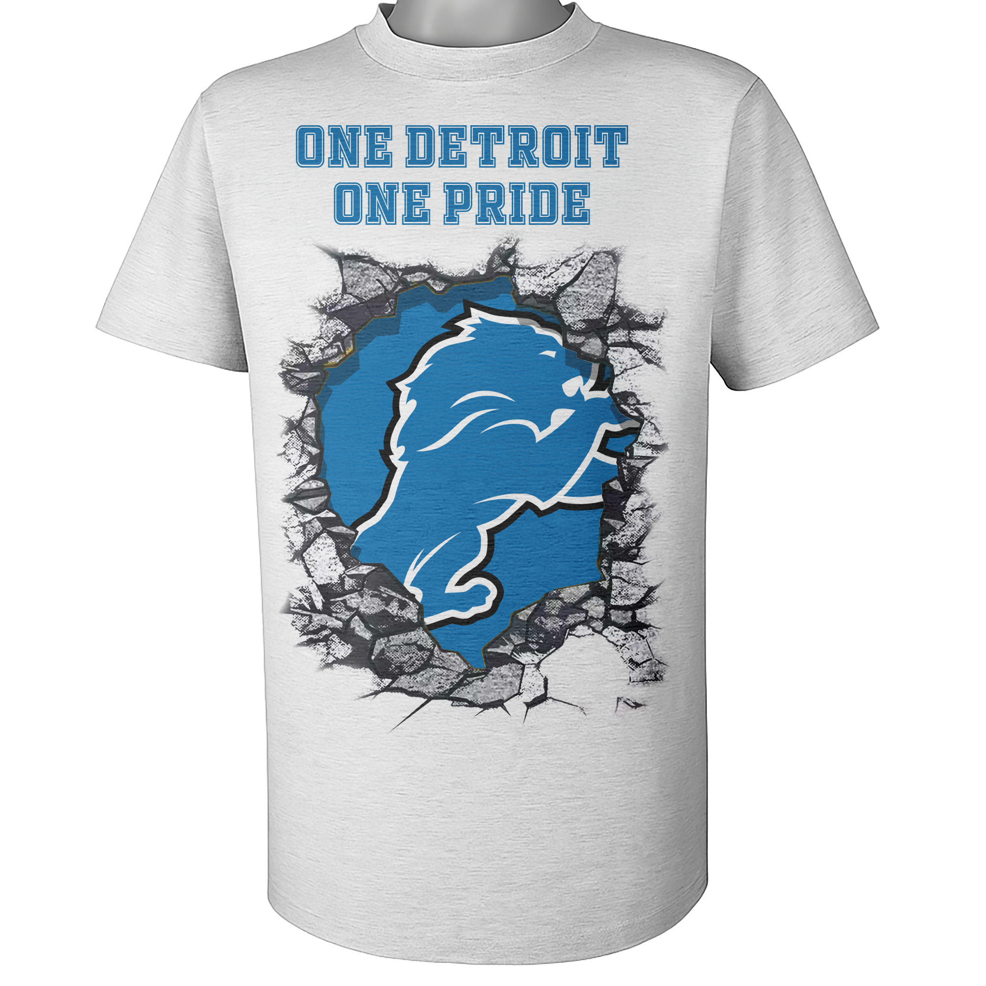 Detroit Lions NFL Teams Slogan PT65675
