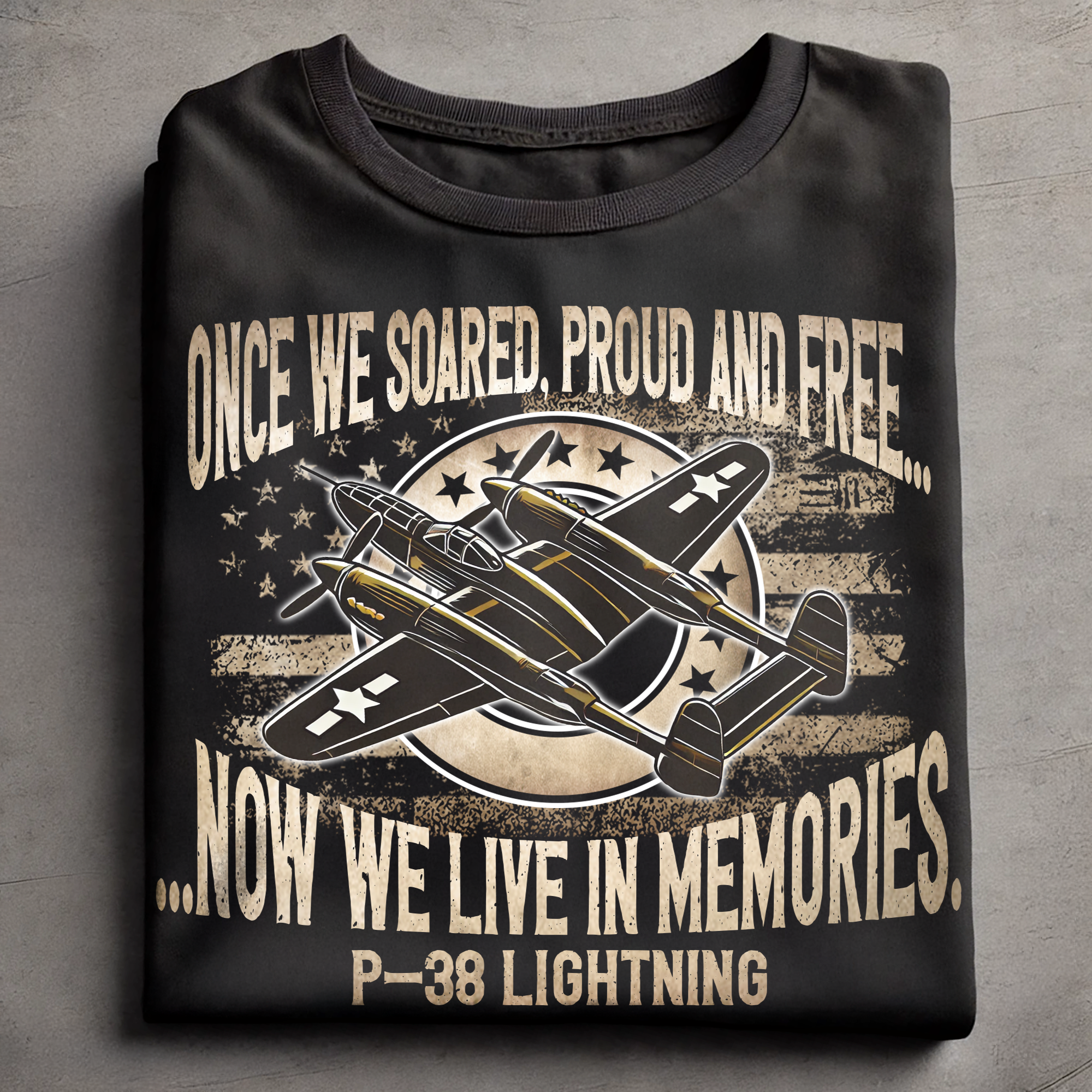 Once we soared, proud and free now we live in memories P-38 Lightning AT03759