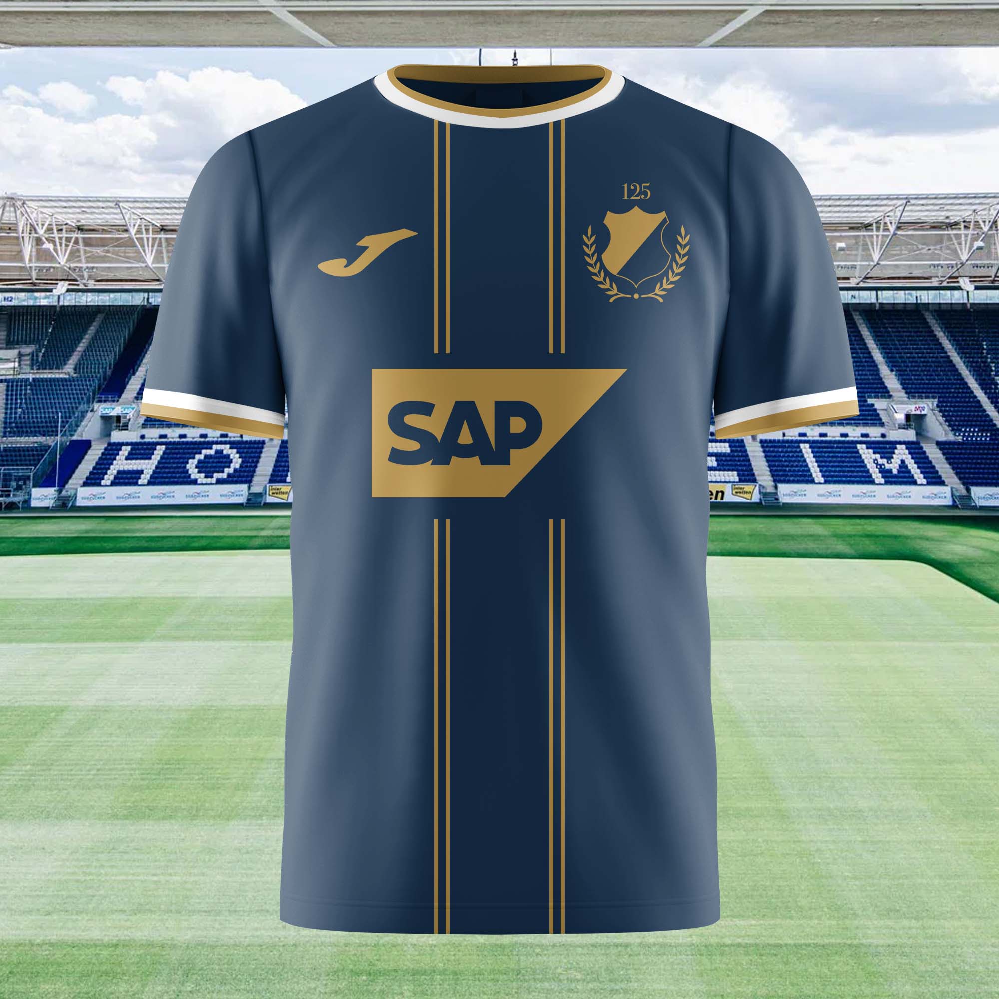 TSG 1899 Hoffenheim 2024-25 Anniversary Kit Retro Shirt PT72212