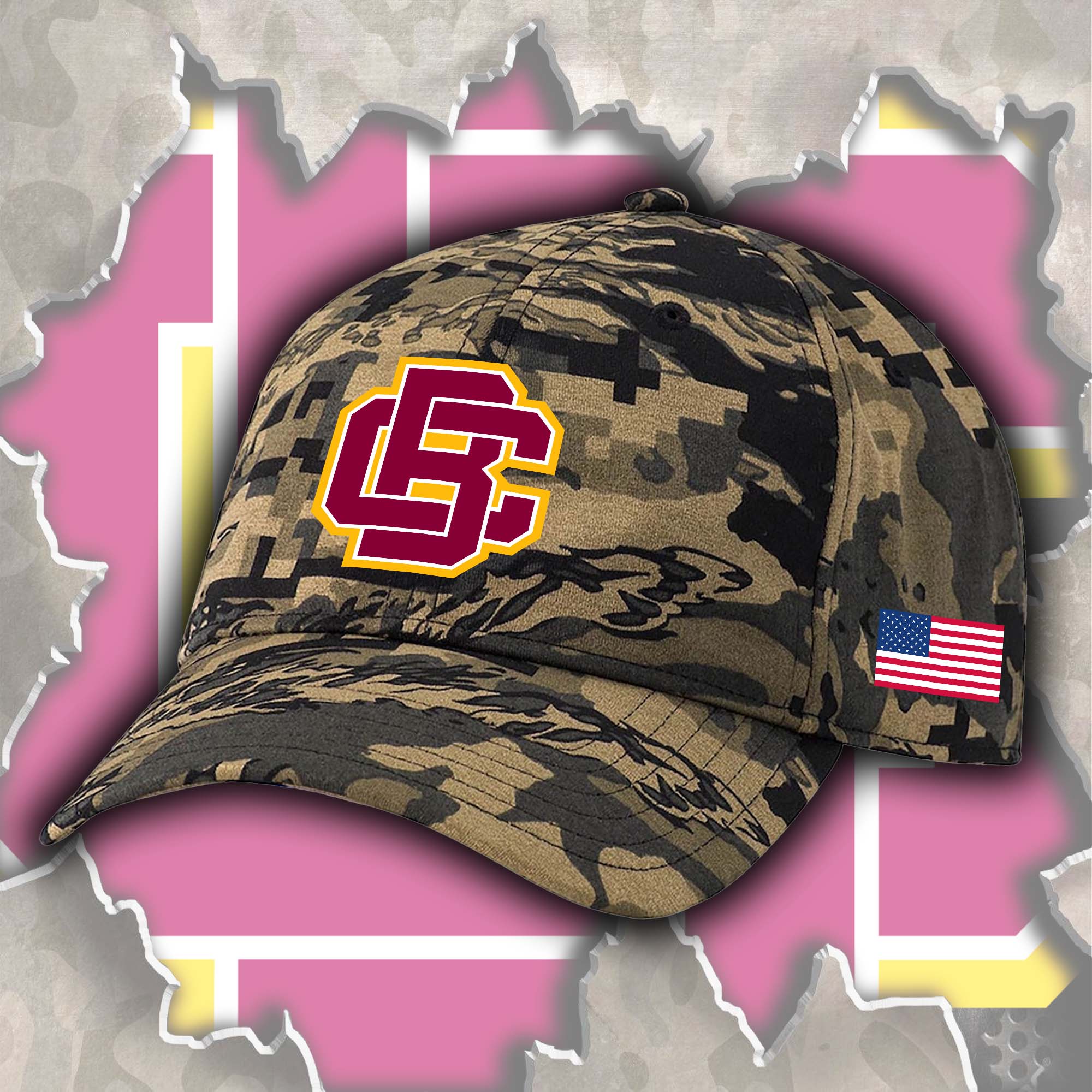 Bethune Cookman Wildcats Embroidered and Printed Cap PT72456