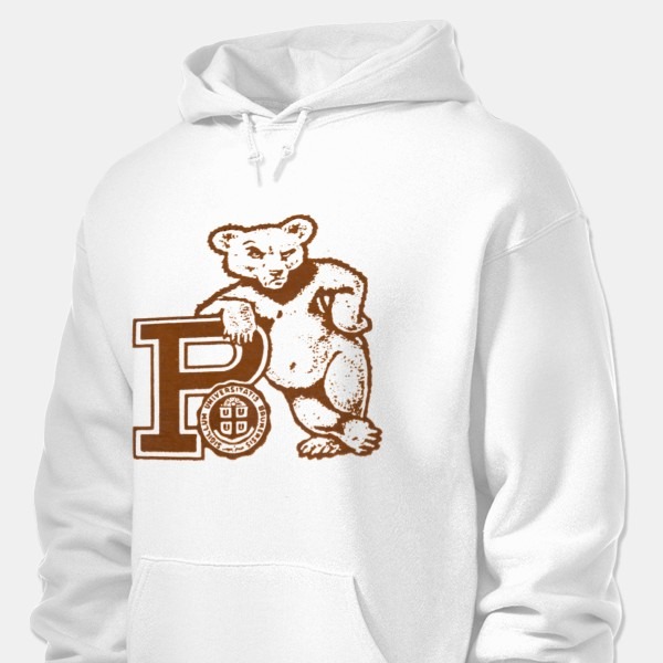 1950 Vintage Brown Bears Sweatshirt PT73308
