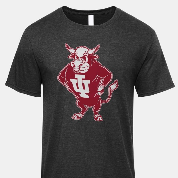 1960 Vintage Indiana Hoosiers T-Shirt PT73334