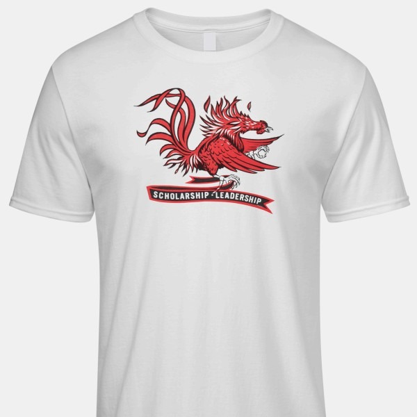 1970 Vintage South Carolina Gamecocks T-Shirt PT73352