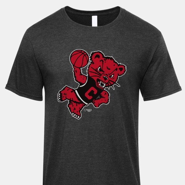 Vintage Cincinnati Bearcats T-Shirt PT73414