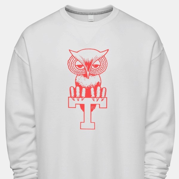 Vintage Temple Owls Sweatshirt PT73429