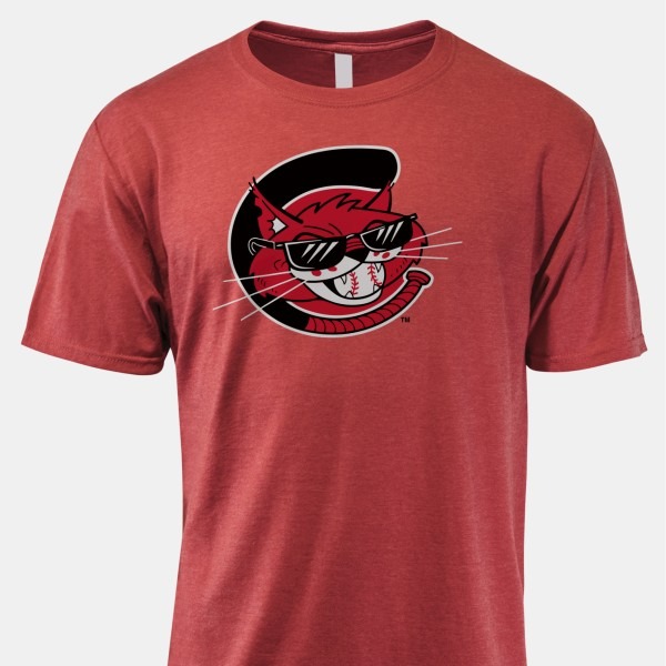 Vintage Charleston Alley Cats Shirt PT73588