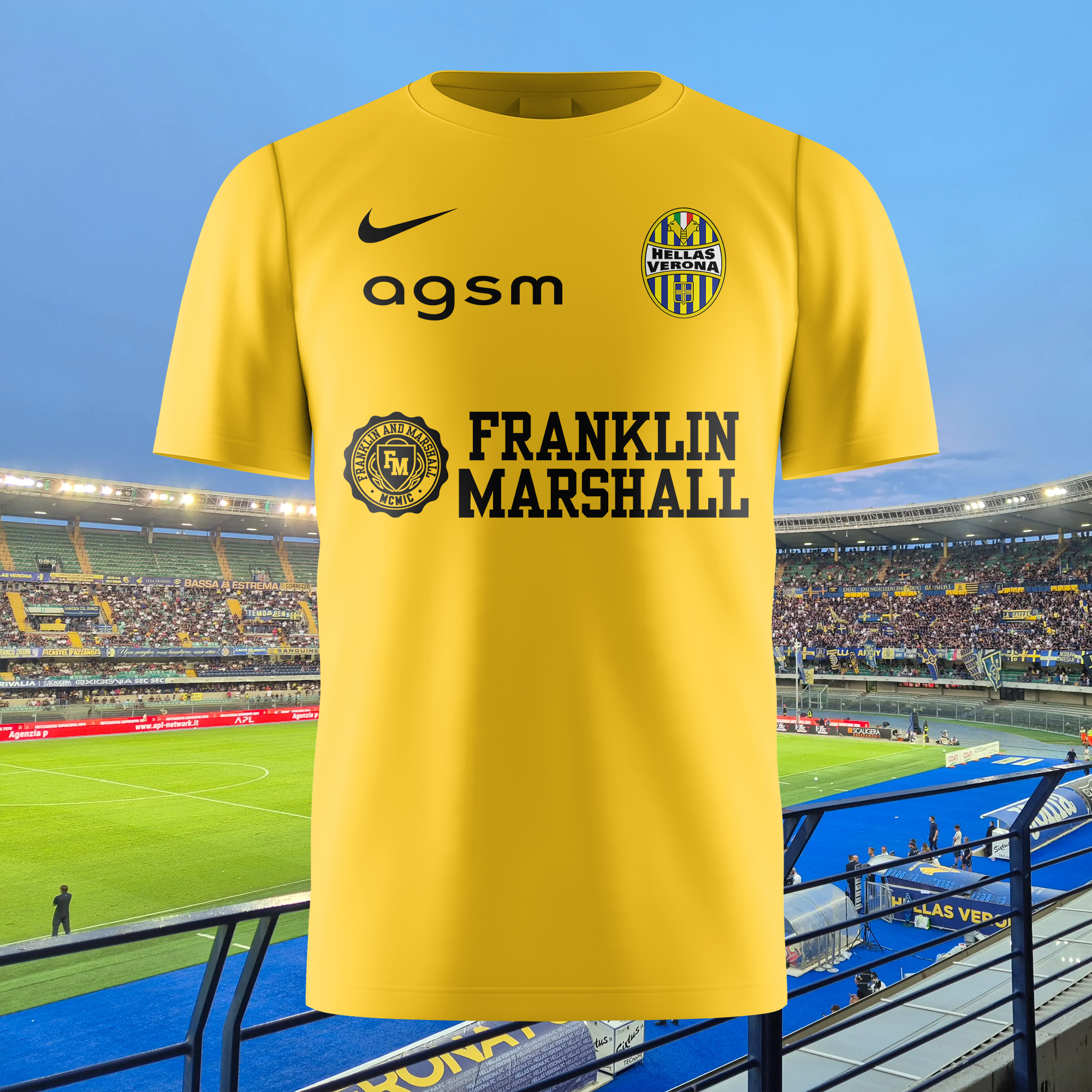 Hellas Verona 2013-14 Away Kit Retro Shirt PT74114