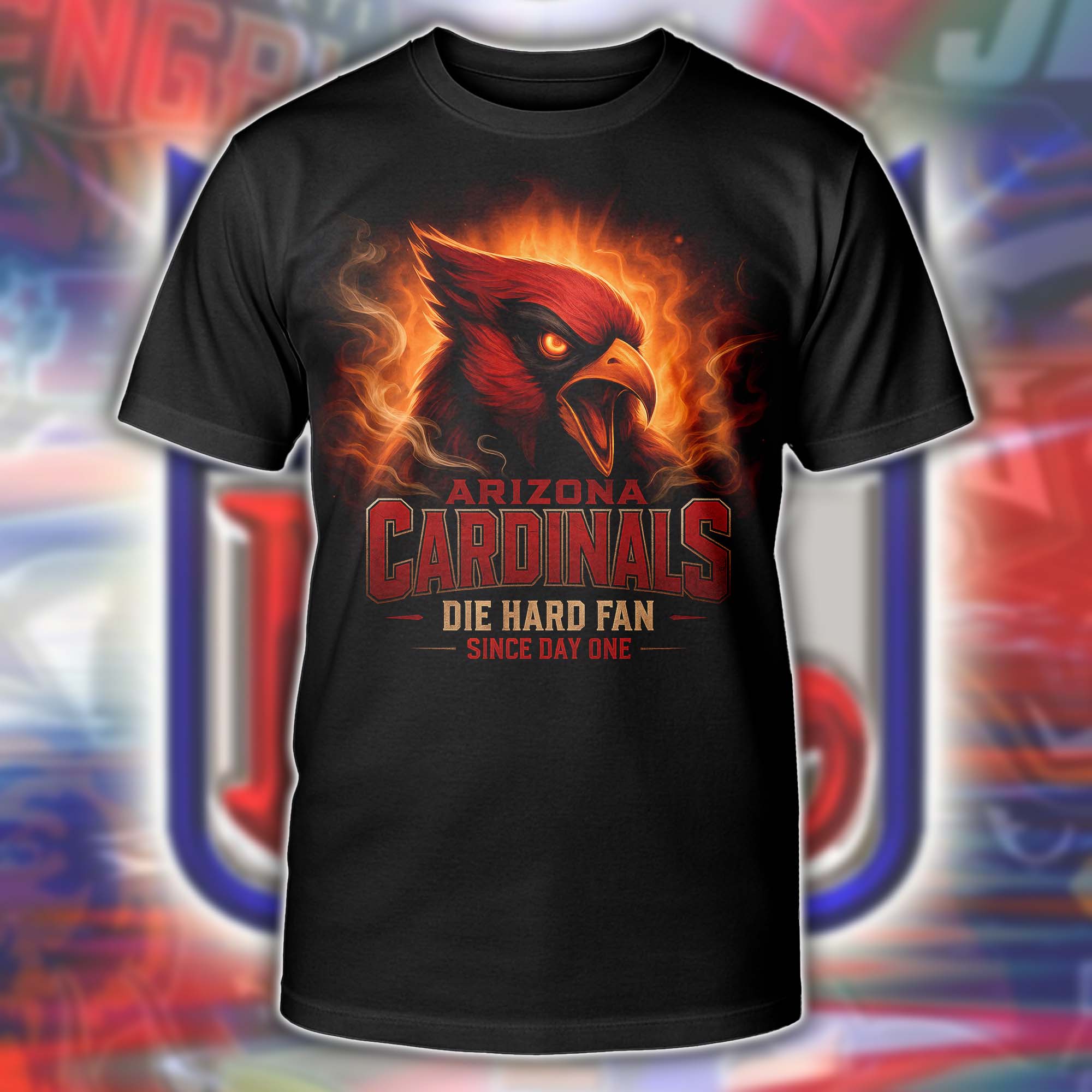 Arizona Cardinals NFL Team Spirit Black PT75304