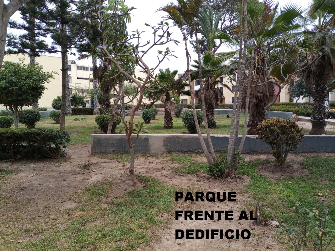 Parque