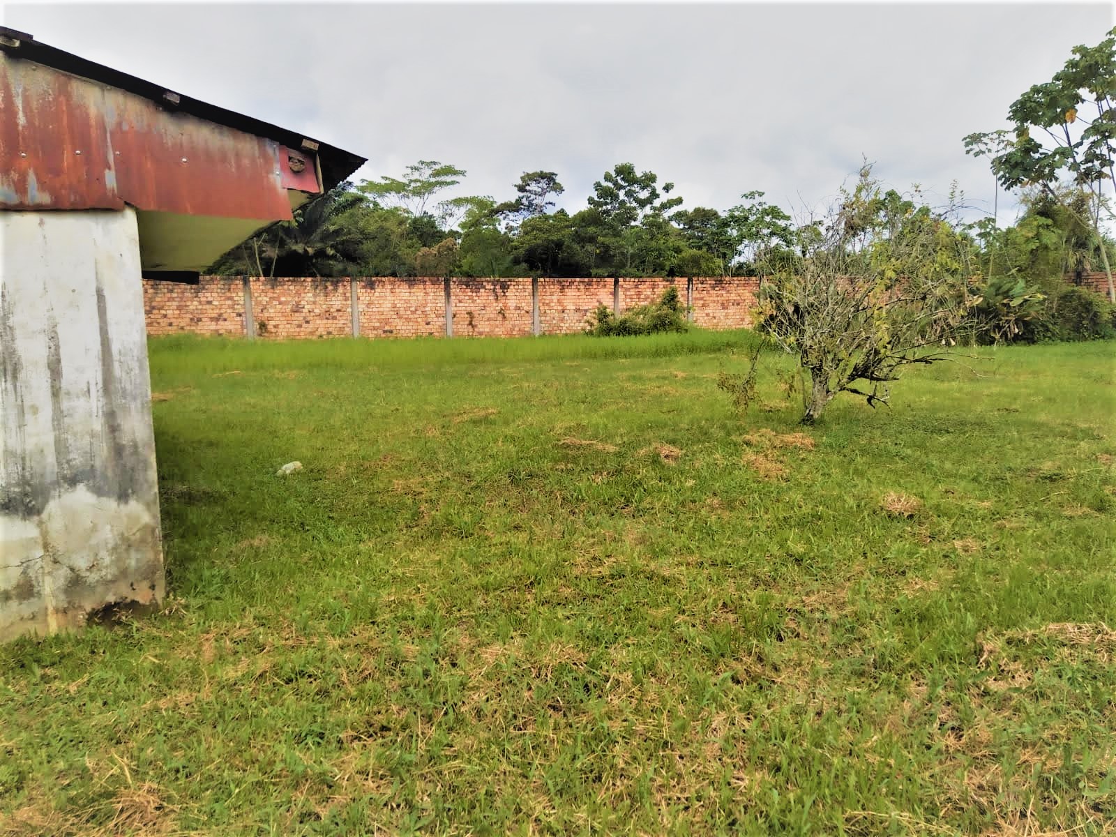 Vista interior del terreno