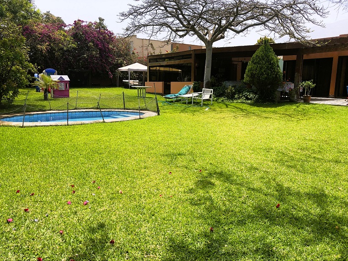 Piscina, jardín