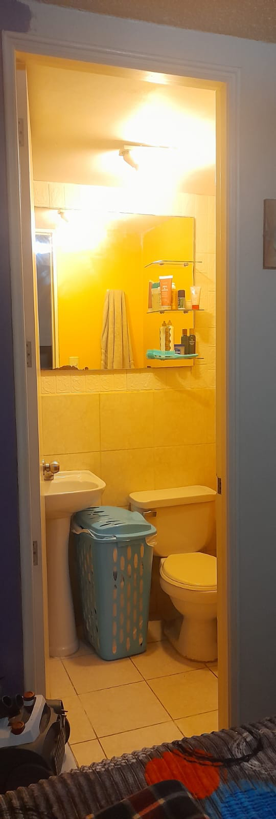 Baño de dormitorio principal