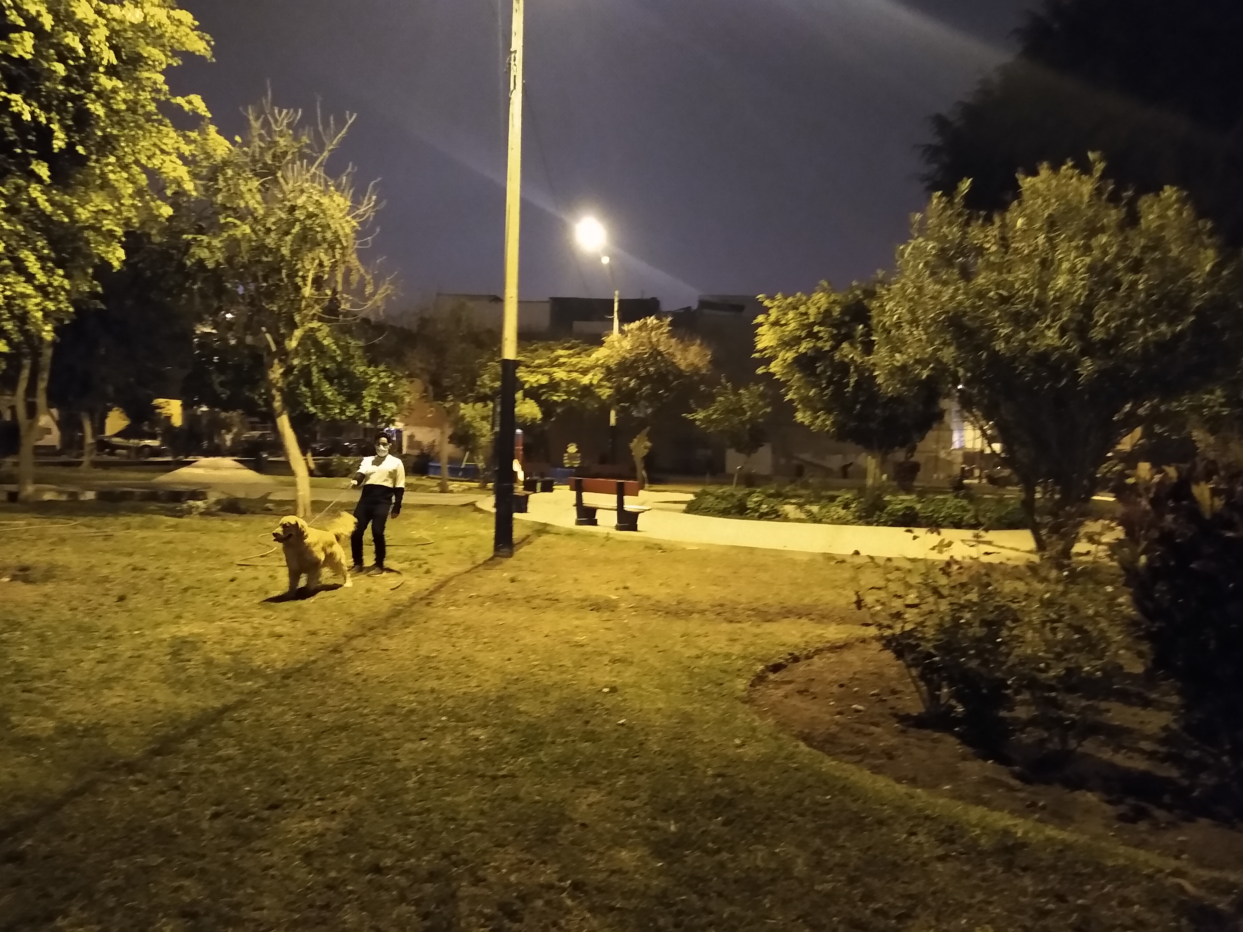 PARQUE BIEN ILUMINADO POR LA NOCHE Y TRANQUILO