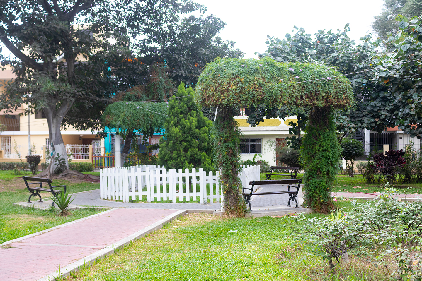 Parque