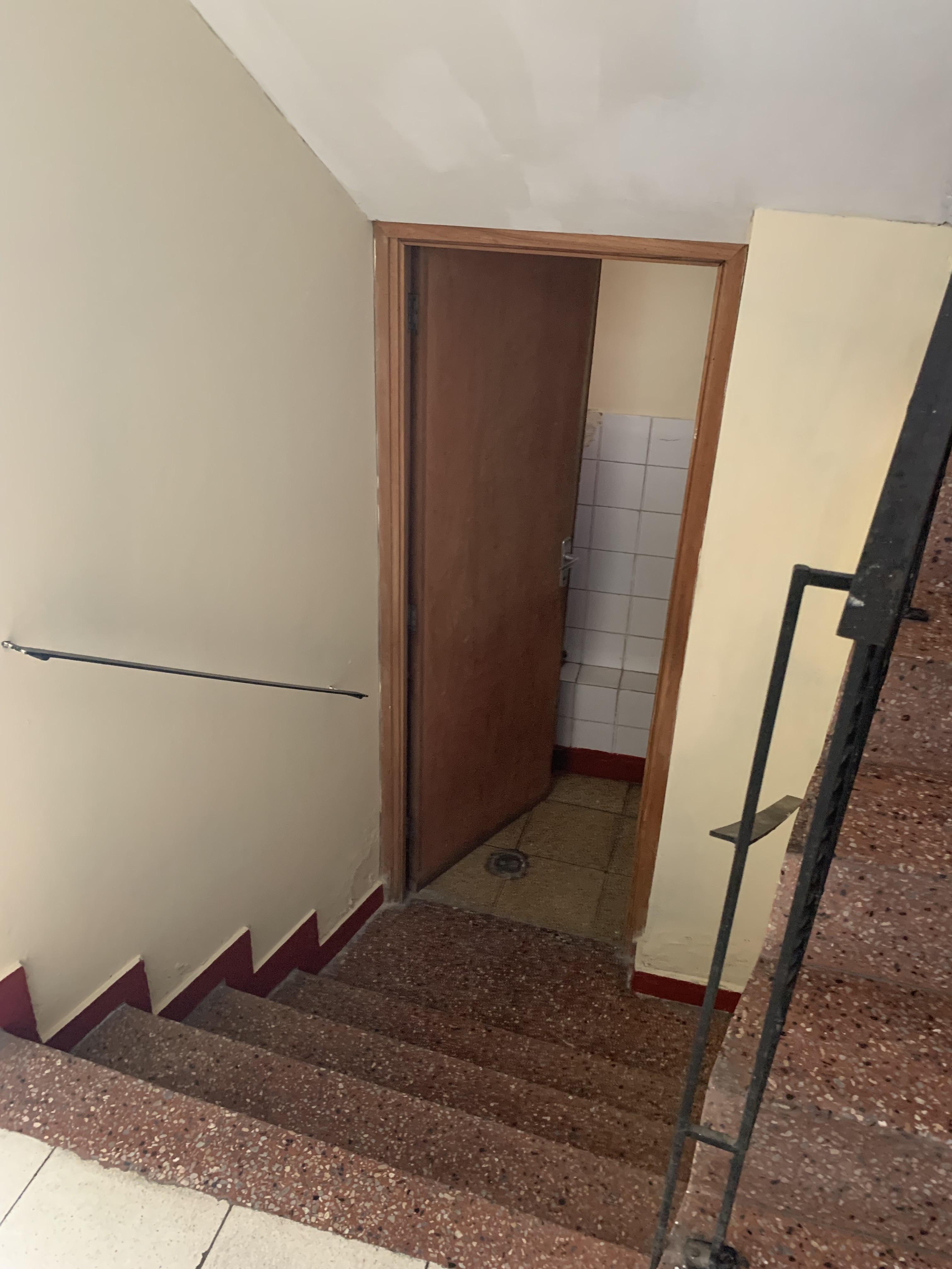 Baño de visita bajo la escalera - medio baño