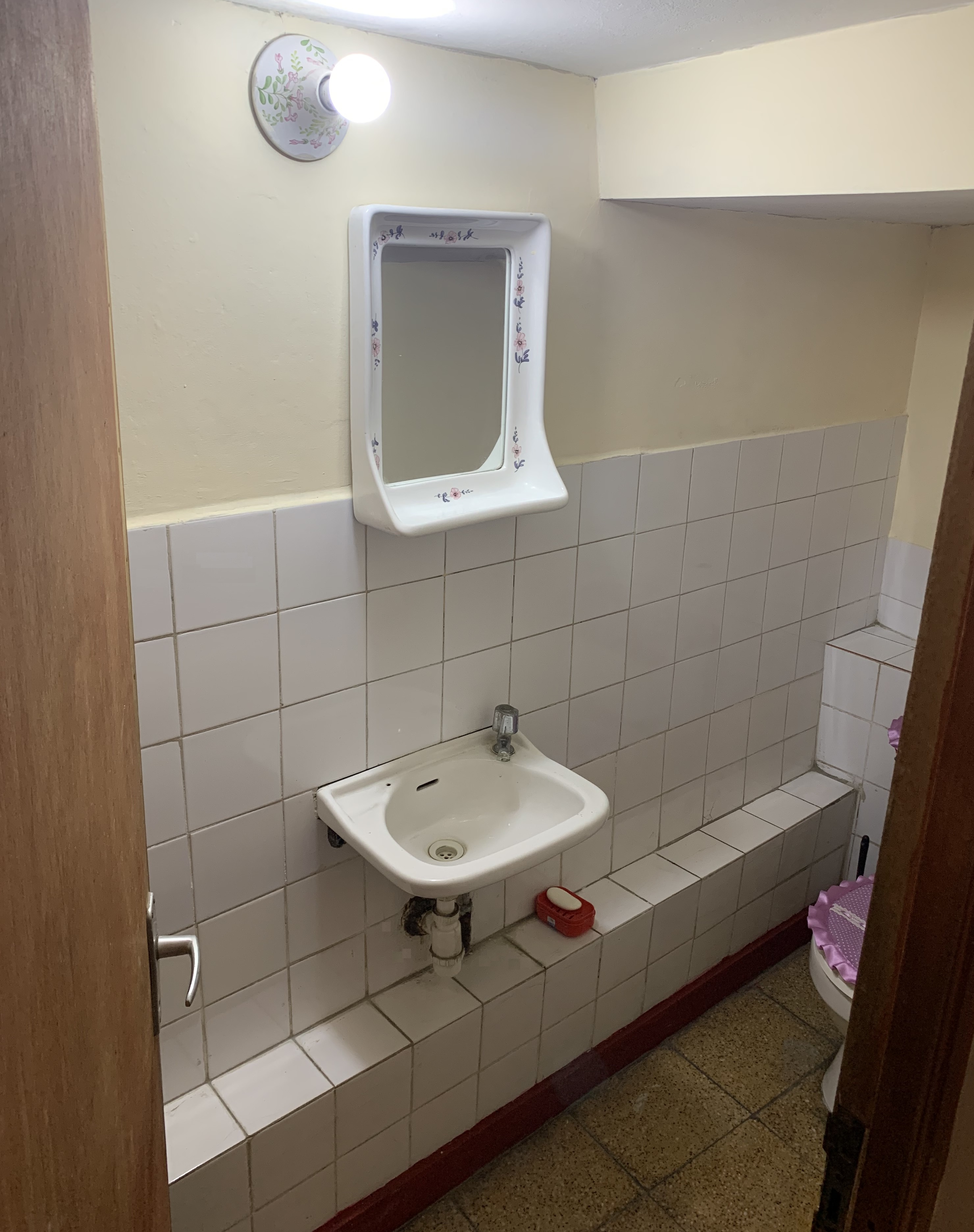 Baño de visita bajo la escalera - medio baño