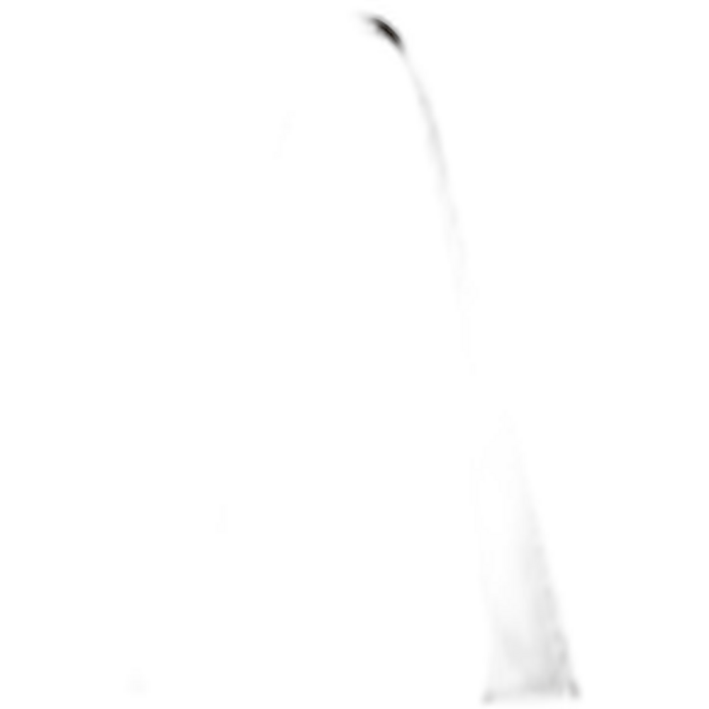 Economical Tote with Contrast-Color Handles