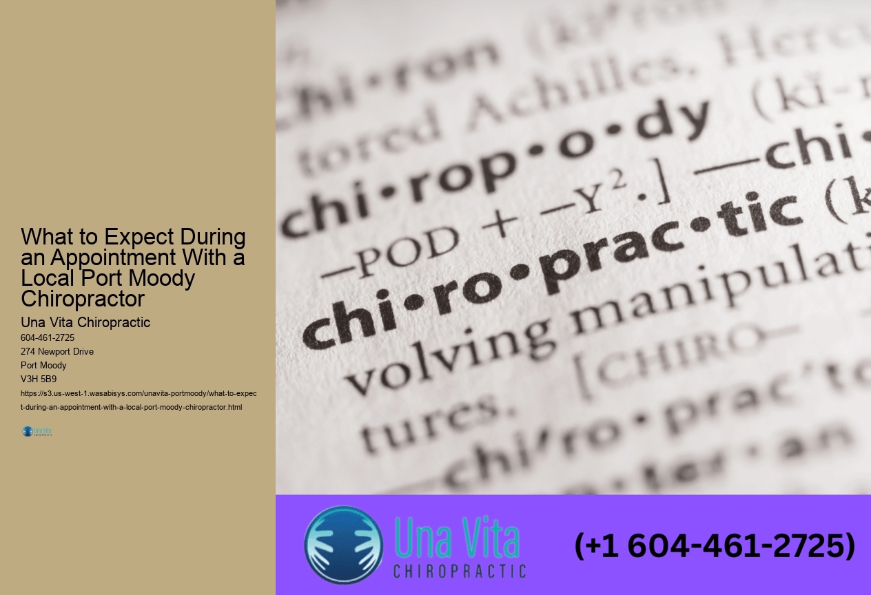 What to Expect During an Appointment With a Local Port Moody Chiropractor 