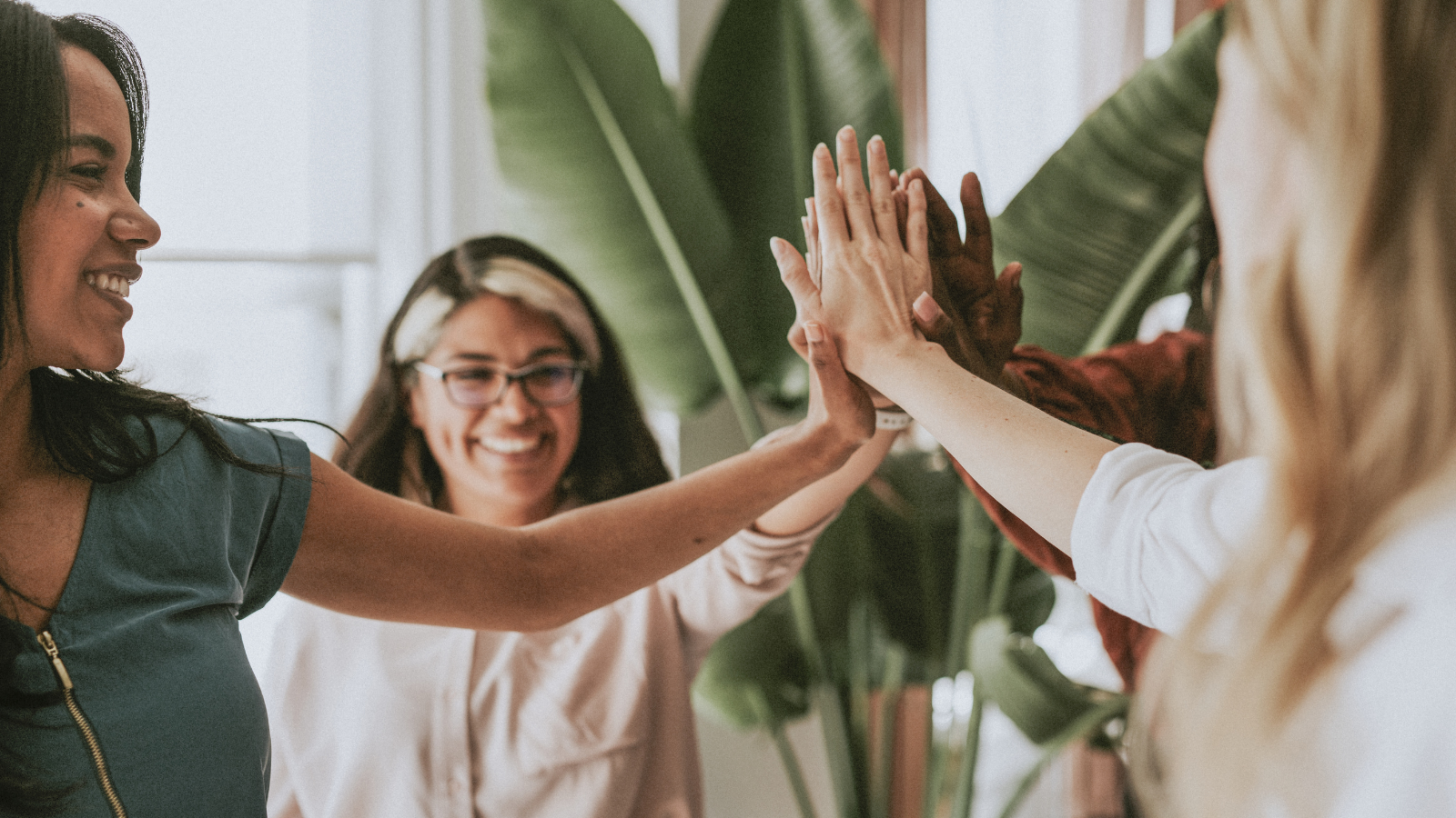 Collaborate on deals and referrals.