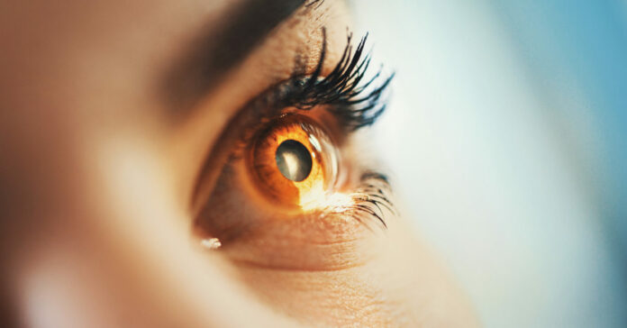 Eye scanner can detect molecular aging