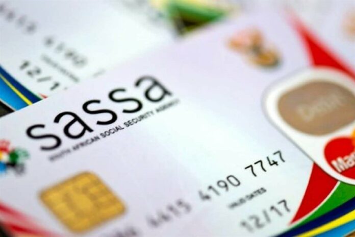 Sassa gives rejected R350 special grant applicants a lifeline | News24