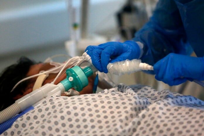 Durban woman re-infected with Covid-19 three months after first testing positive | News24