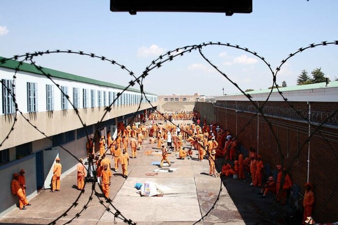 Less than quarter of the 19 000 inmates eligible for Covid-19 parole released so far | News24