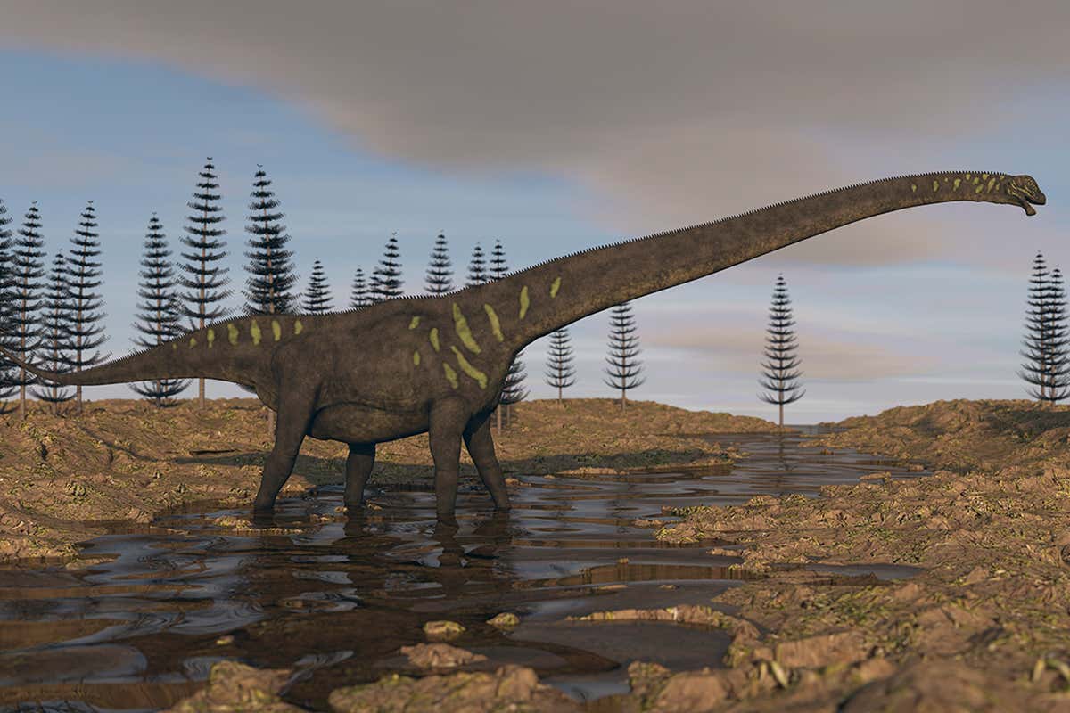 Где большой динозавр. Аргентинозавр и Маменчизавр. Маменчизавр парк Юрского периода 2. Самый большой динозавр в мире. Самые большие динозавры в мире.