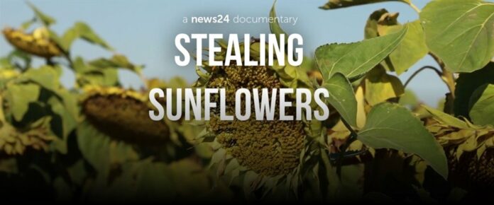 News24 documentaries: Beautiful visuals, captivating storytelling worth the watch | News24