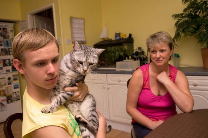 Some autistic children may prefer cats as they don’t hold eye contact