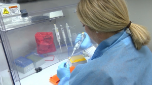 cdc-predicts-another-coronavirus-battle-in-the-winter.PNG CDC predicts another coronavirus battle in the winter