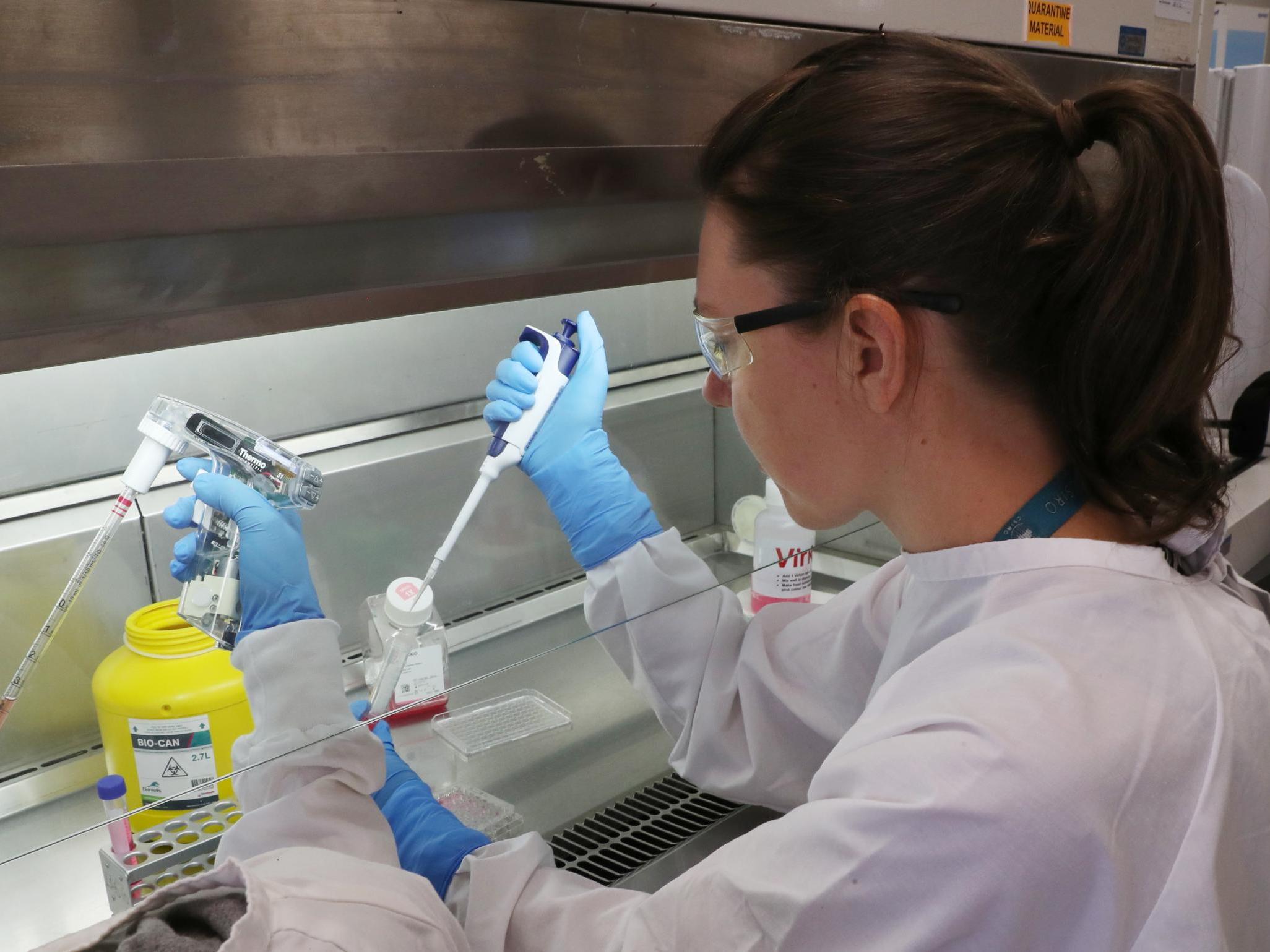 coronavirus-oxford-university-set-to-begin-human-trials-of-covid-19-vaccine.jpg Coronavirus: Oxford University set to begin human trials of Covid-19 vaccine